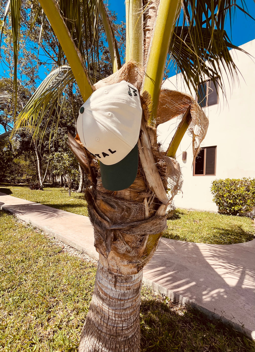 MNTAL M2 ©️ Baseball Hat