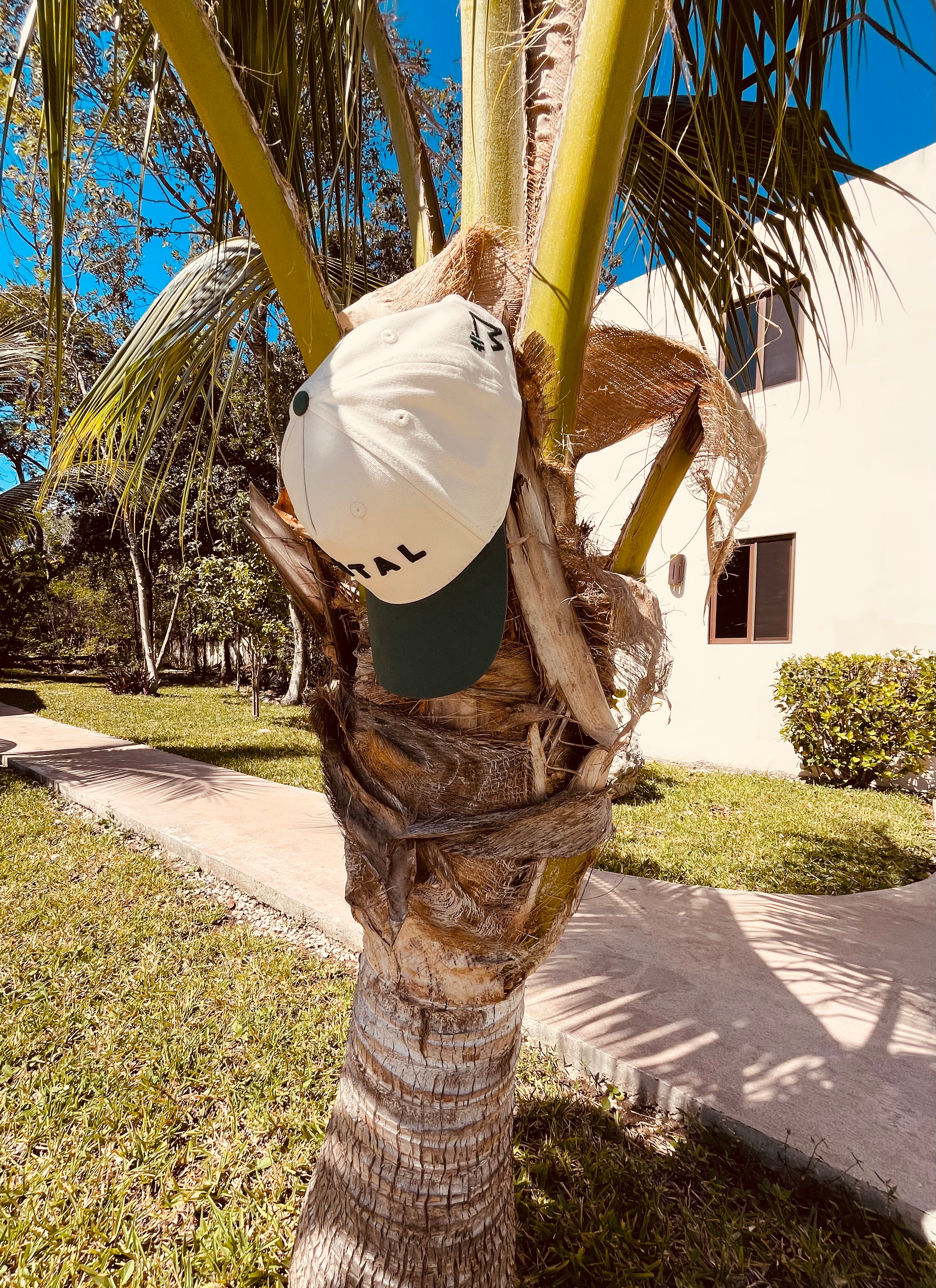 MNTAL M2 ©️ Baseball Hat